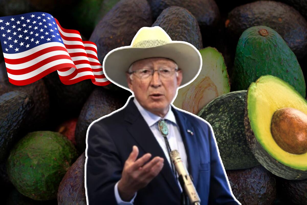 Embajador Ken Salazar “confía” en la implementación de programa que prohiba la entrada de aguacate “ilegal” a EU