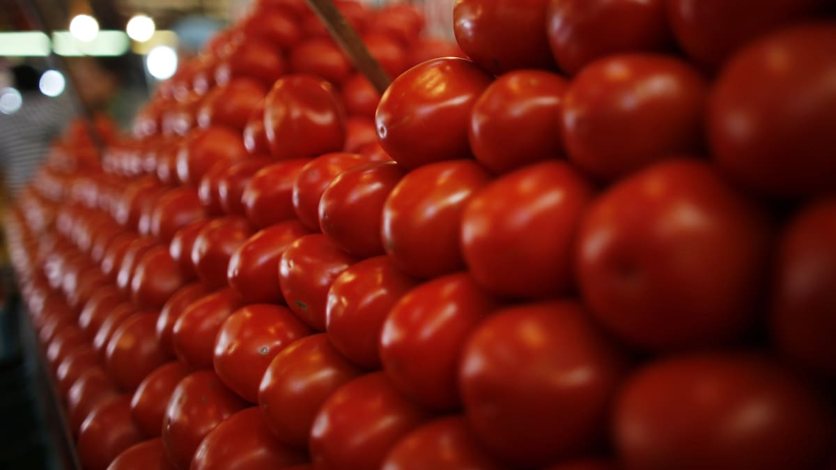 El precio del tomate alcanza hasta 55.50 pesos por kilo en puntos de venta, mientras el productor recibe apenas 17 pesos, según datos del GCMA. /Reuters