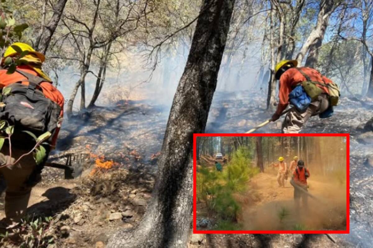 Controlan el 80 % del incendio forestal en Nácori Chico; brigadas continúan trabajos intensivos en Sonora