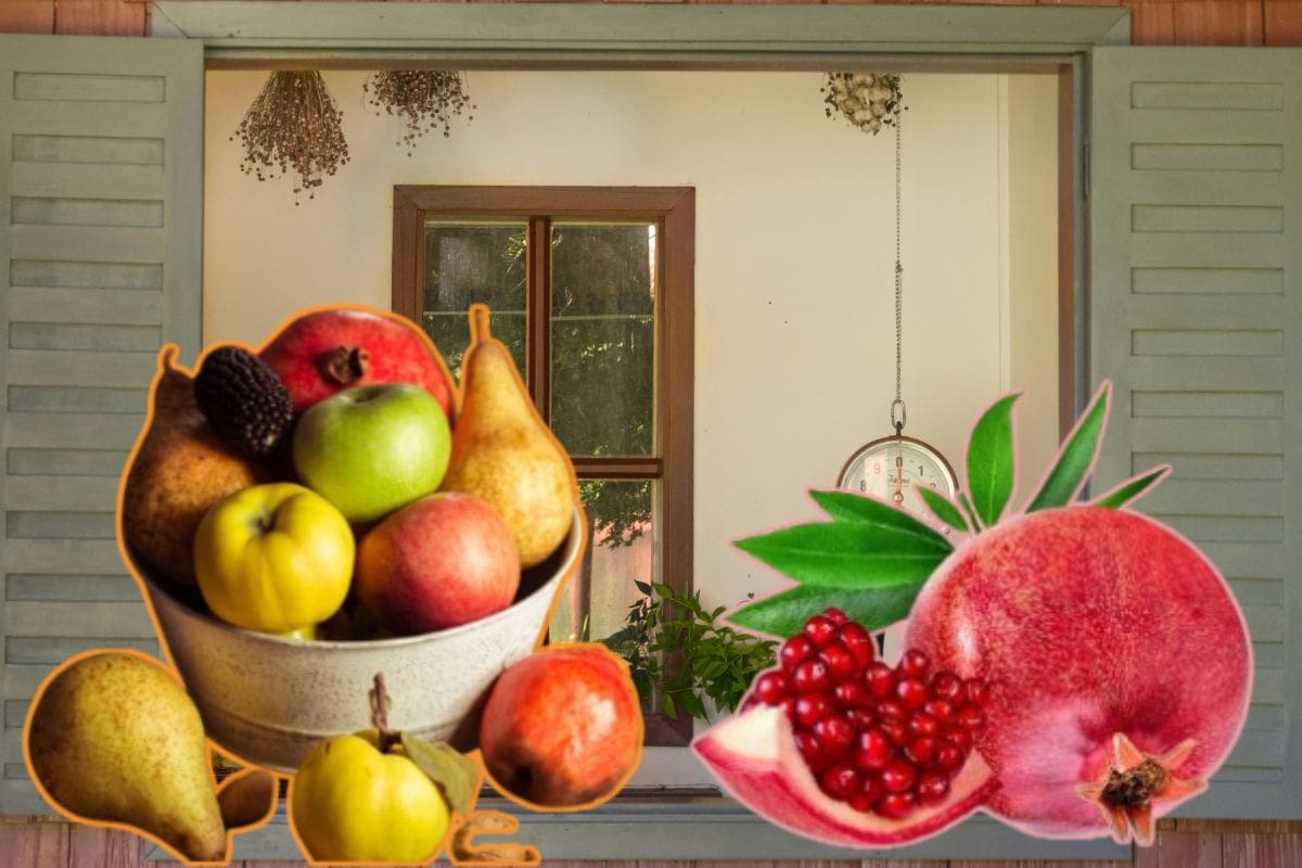 Las mejores frutas y verduras de otoño que debes aprovechar esta temporada