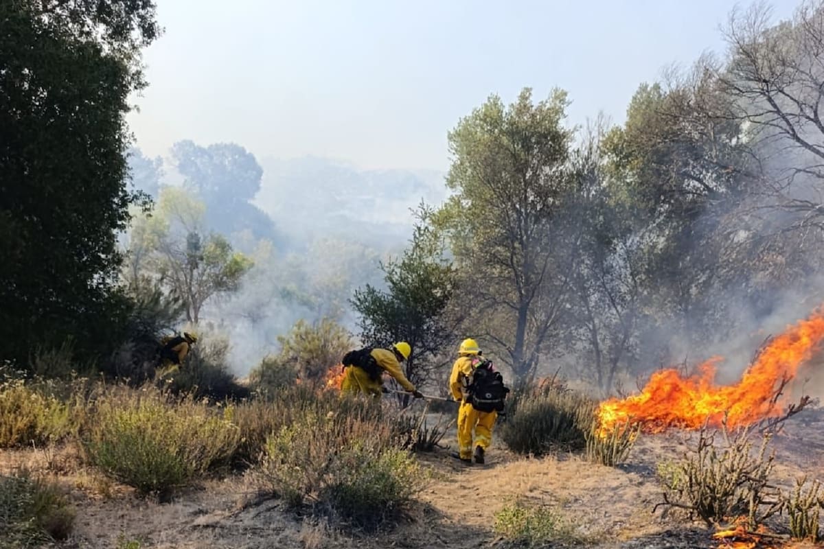 Incendio forestal en Real del Castillo afecta 120 hectáreas