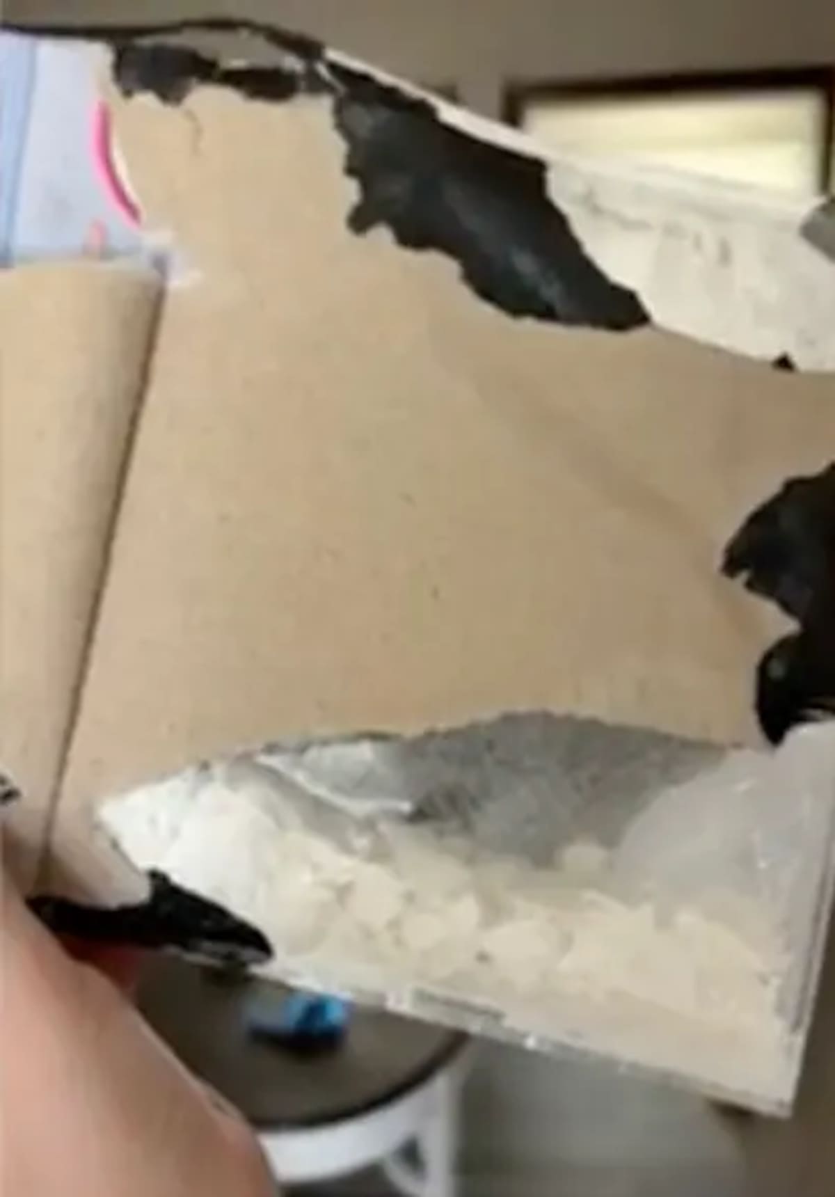 “¿Qué es eso?”: madre encuentra polvo de fentanilo al abrir una muñeca Barbie. Foto: Jade Adams vía WDAF