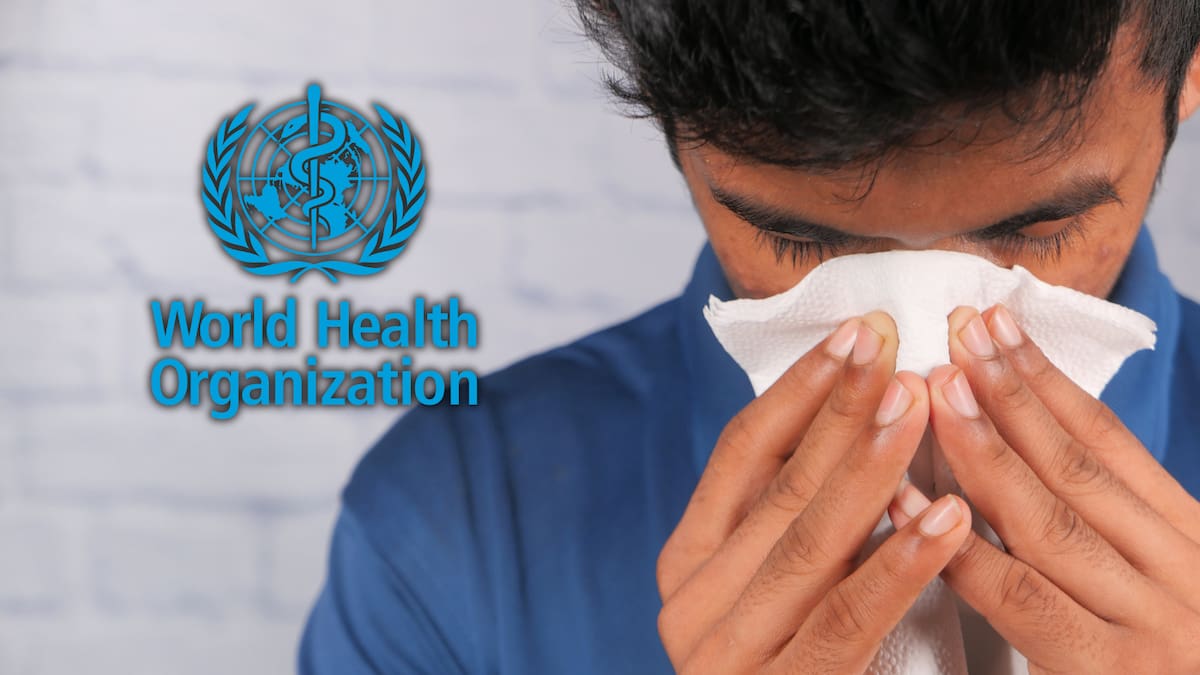 Según la OMS, entre 400 y 600 millones de personas en el mundo padecen alergias y para 2050 la mitad de la población podría estar afectada/Foto: Canva