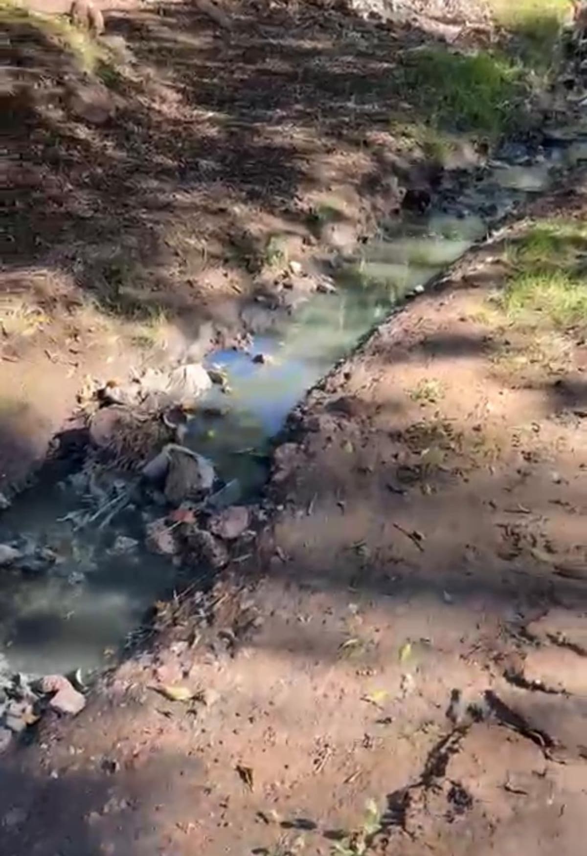 Habitantes del Poblado Morelos denunciaron derrames de aguas negras provenientes de un cárcamo de la CESPT, situación que se agravó tras las recientes lluvias y genera malos olores y contaminación en la zona. Fotos: Cortesia