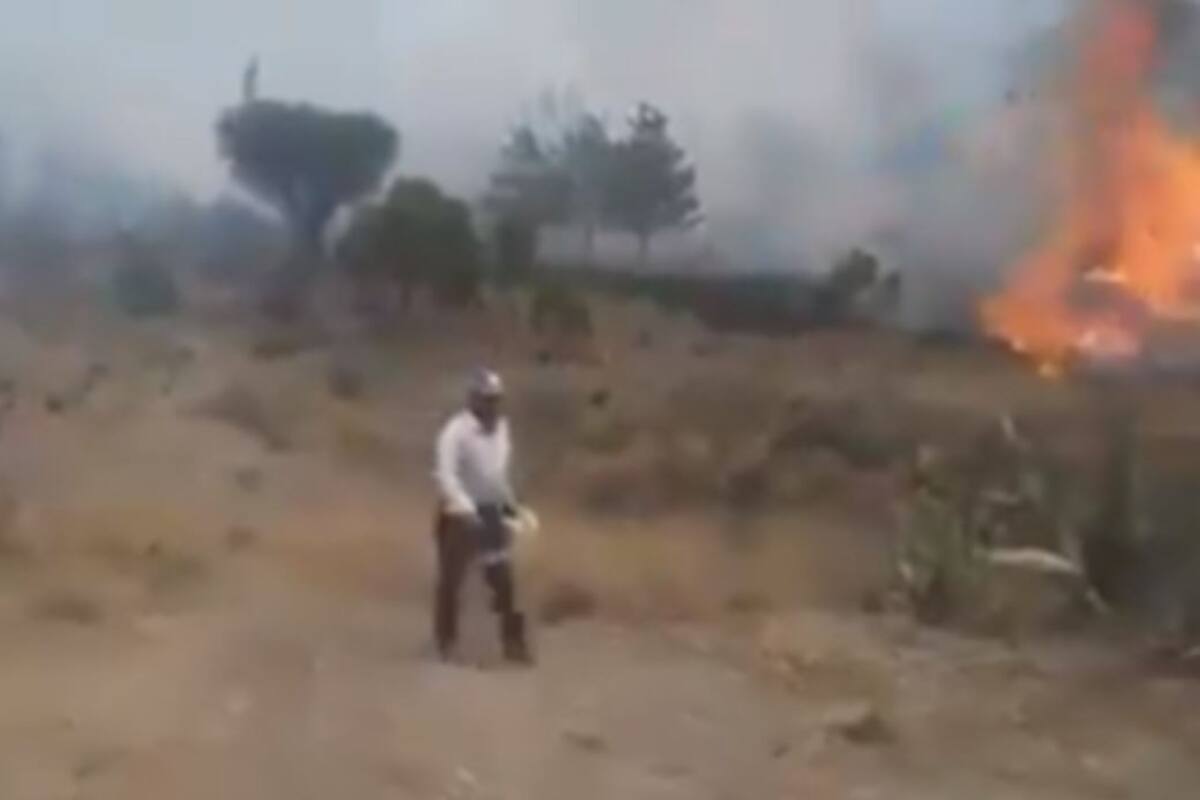 ''Son mis árboles'', captan a hombre provocando incendio
