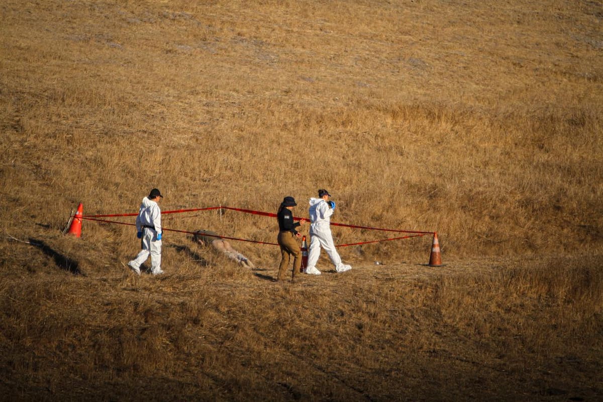 Foto: Border Zoom