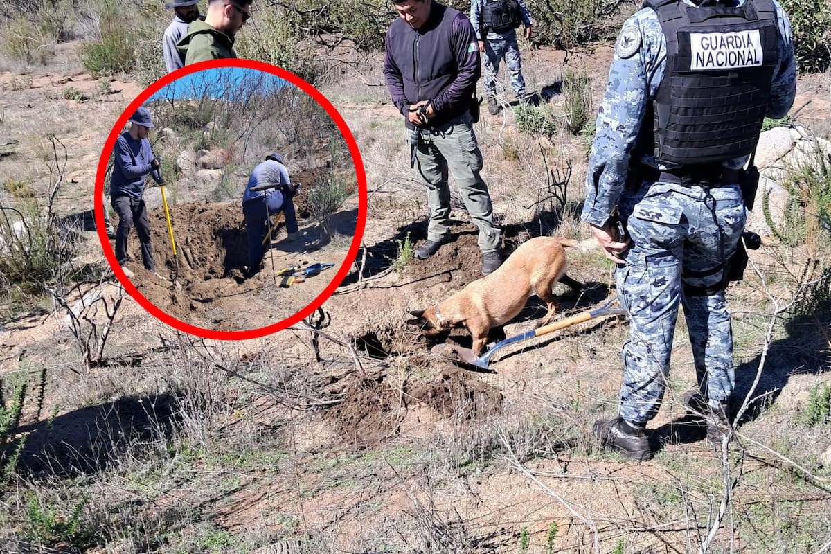 Localizan tres cuerpos durante búsqueda en Tecate; uno presenta tatuajes distintivos