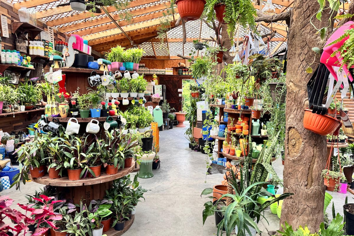 PlantArte: el paraíso para amantes del café y las plantas