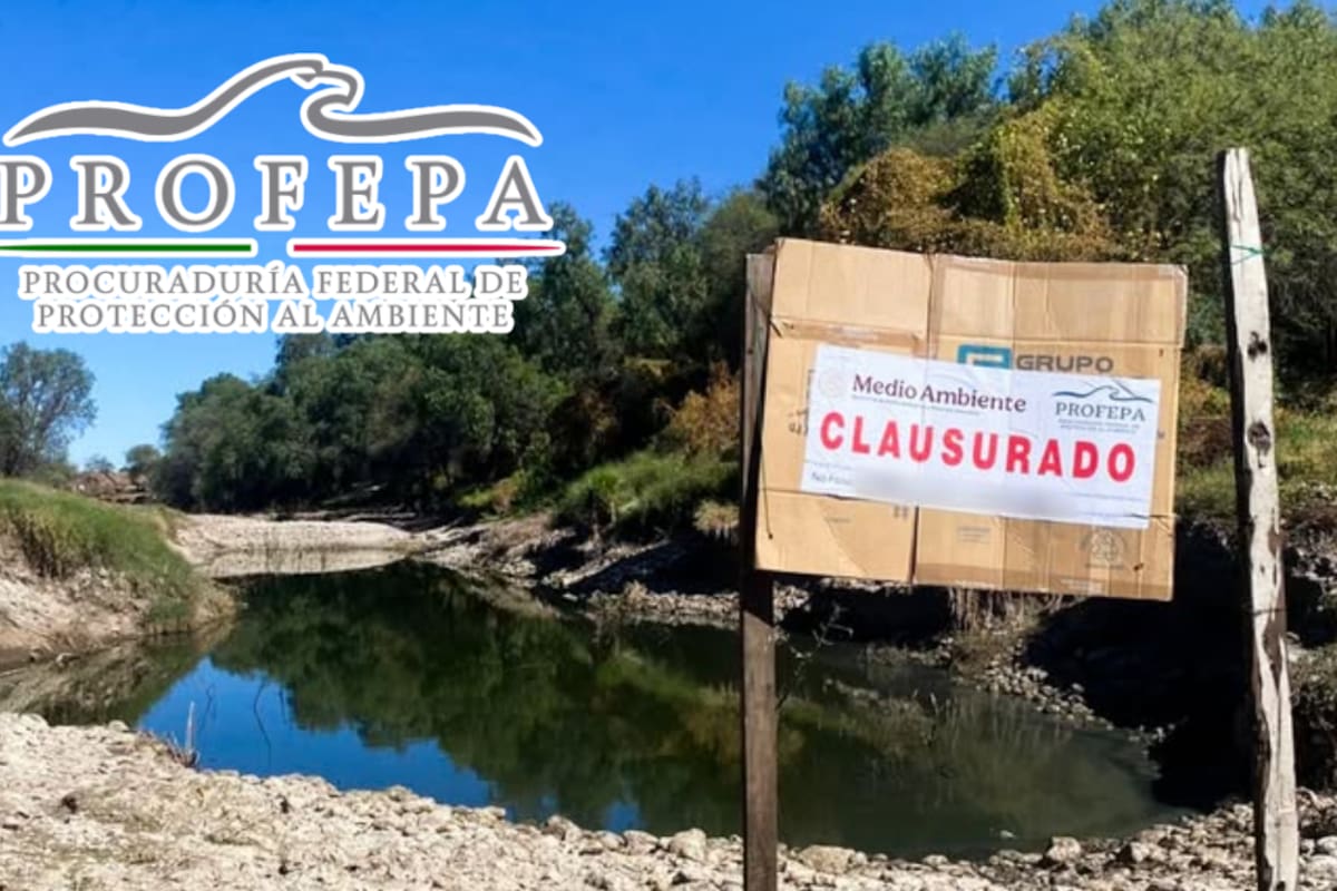 Profepa clausura extracción ilegal de arena y grava en el Río San Pedro, Aguascalientes: maquinaria pesada devastó más de 3,000 m² sin permisos ambientales