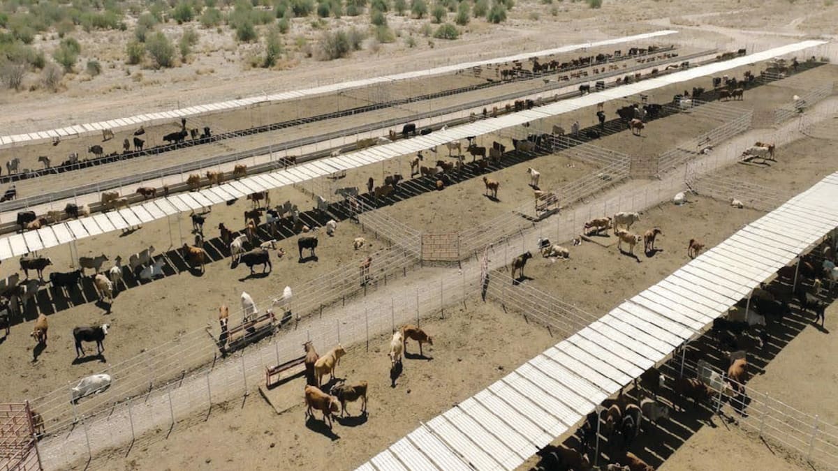 Inversión histórica modernizará la ganadería en Sonora: UGRS