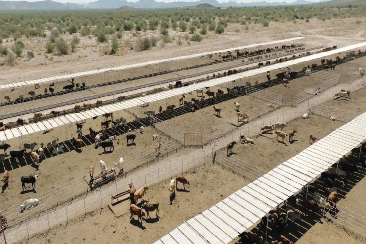 Inversión histórica modernizará la ganadería en Sonora: UGRS