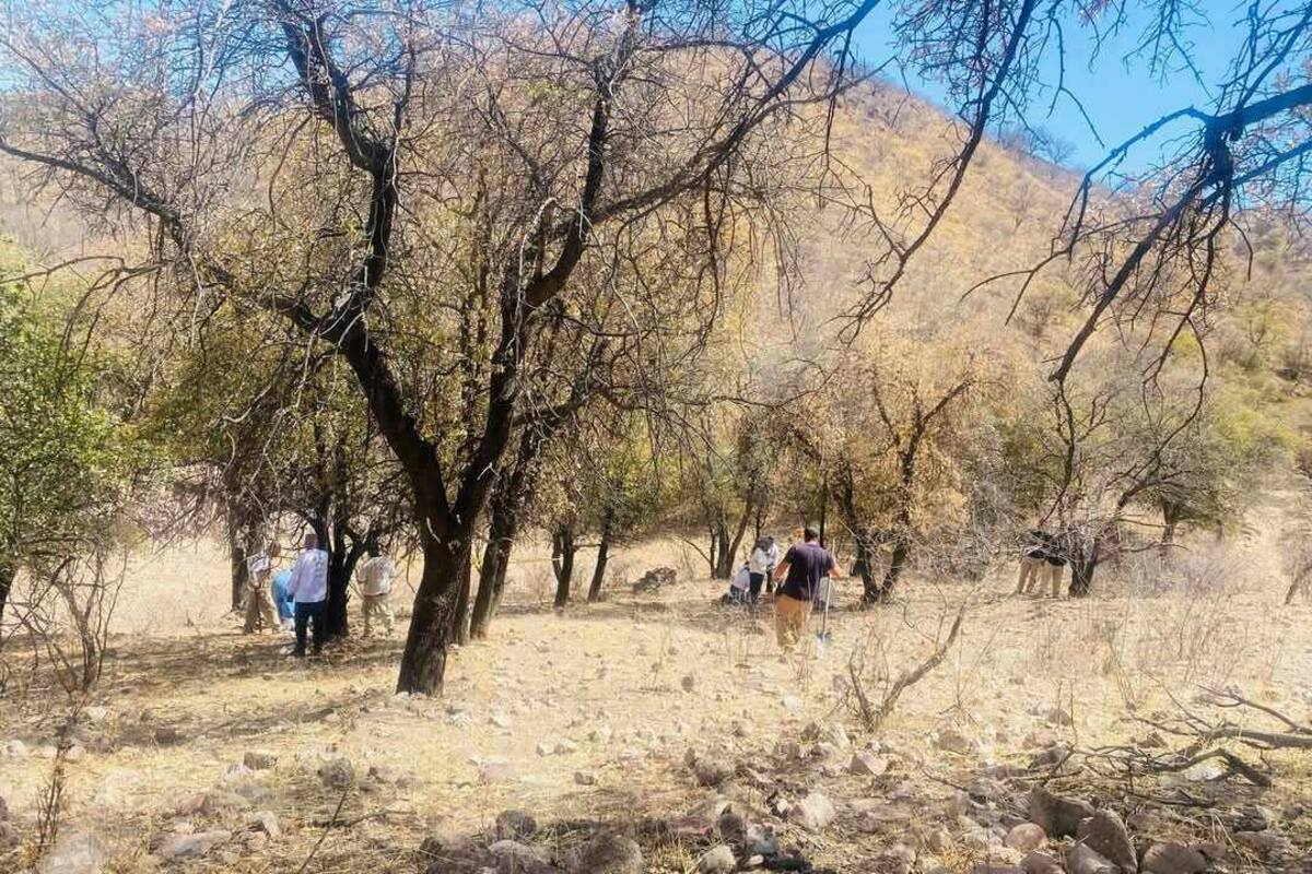 Colectivo encuentra cinco cuerpos durante el fin de semana en Nogales