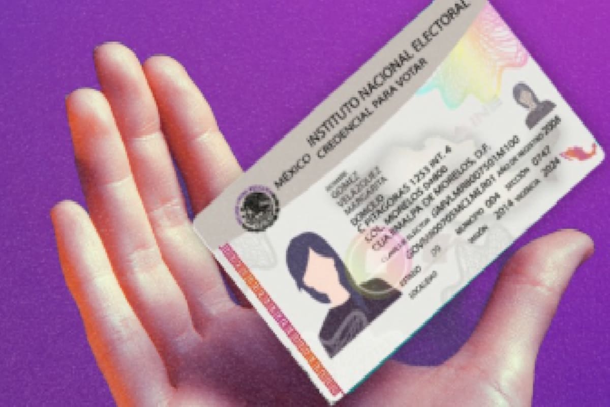¿Perdiste tu INE, visa o licencia? Así puedes obtener tu constancia de extravío en Sonora