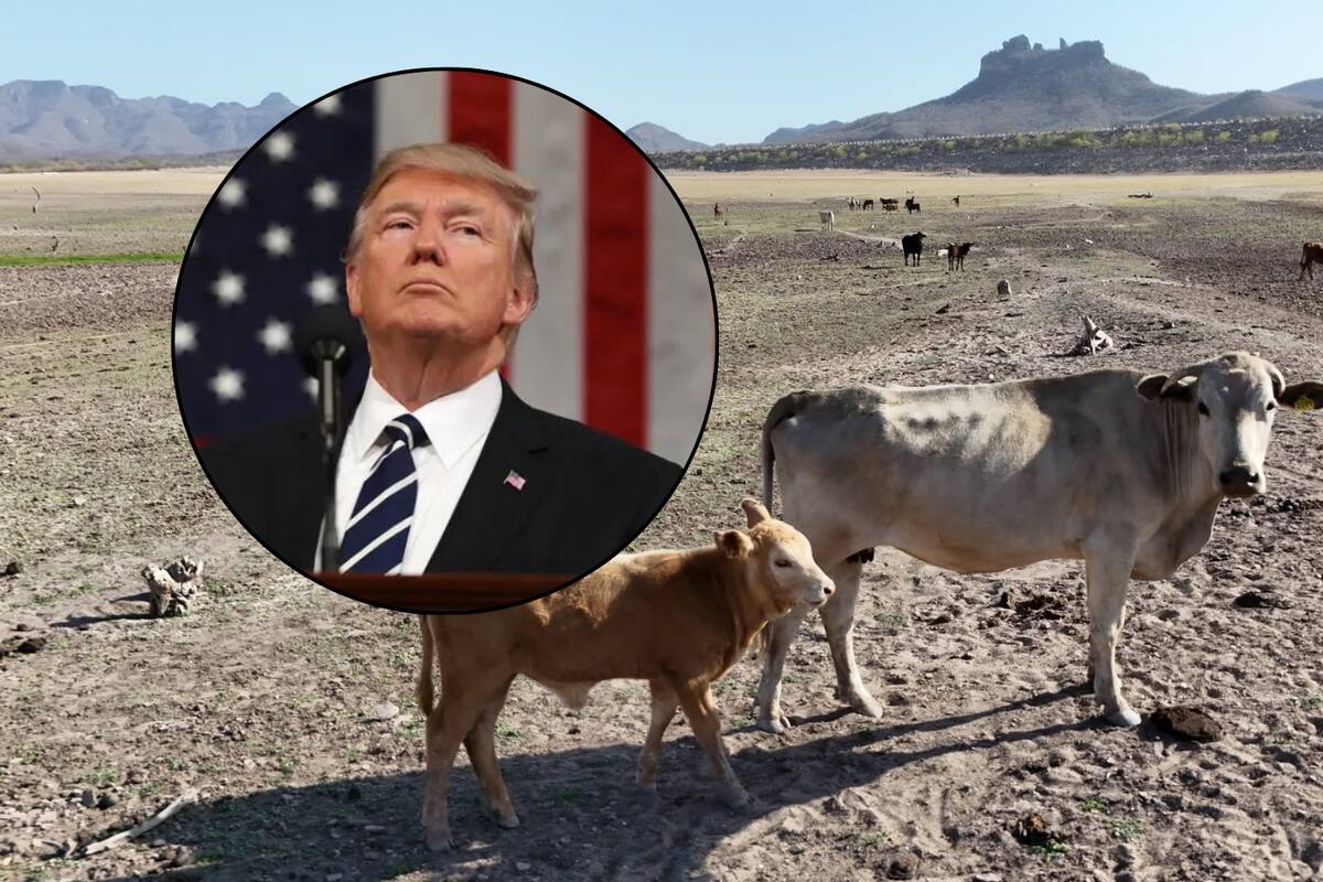 Responde titular de Sader a EE.UU sobre amenaza a ganado mexicano