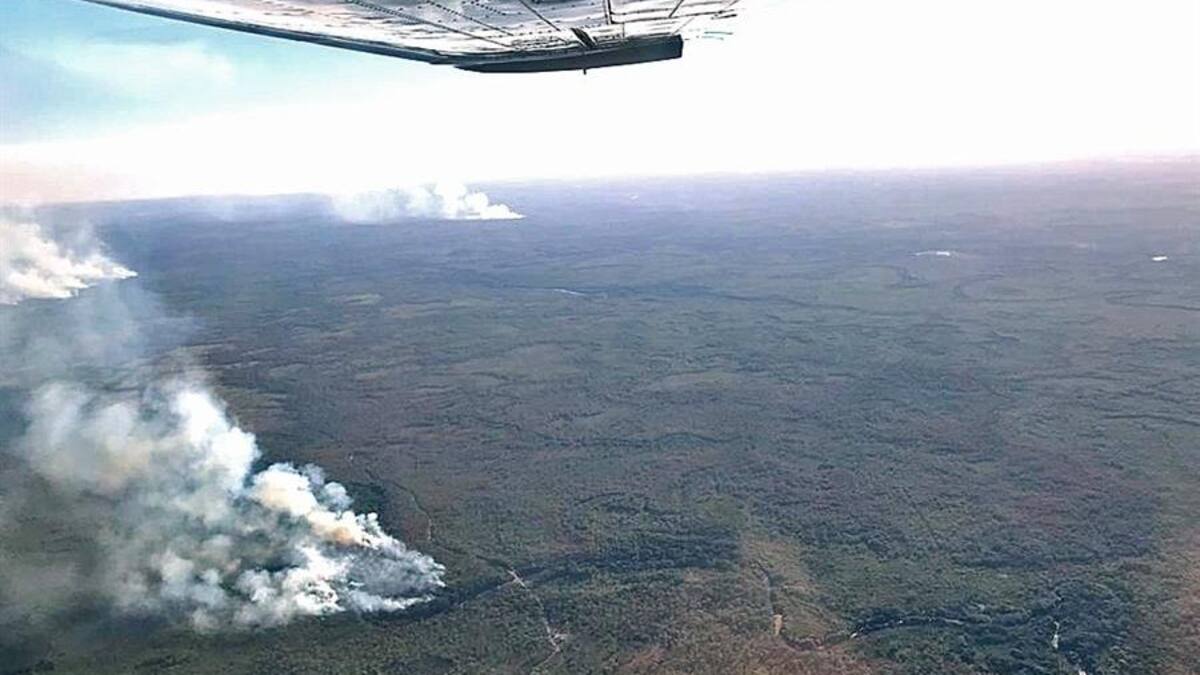 Pantanal brasileño registra en julio sus peores incendios con una fuerte sequía