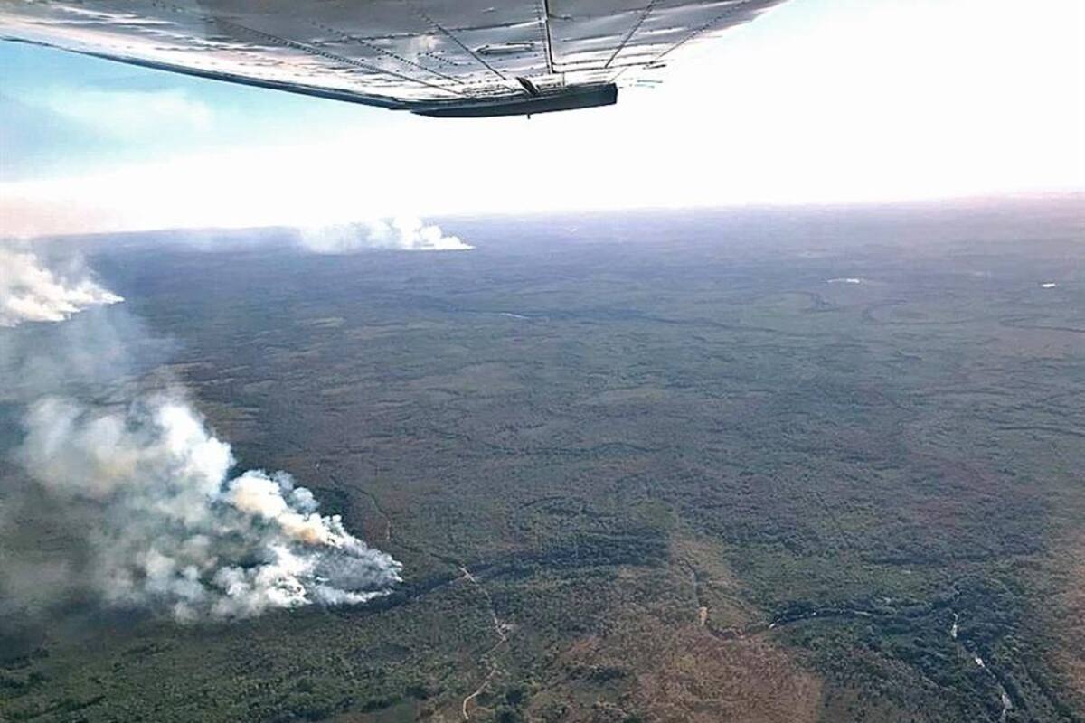 Pantanal brasileño registra en julio sus peores incendios con una fuerte sequía