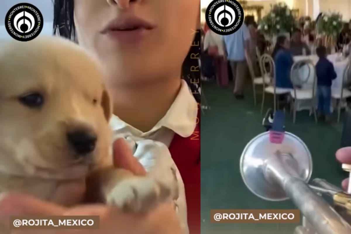 Familia de mariachis comparte cómo tuvieron que llevar a su cachorrito a una fiesta y terminó convirtiéndose en la sensación