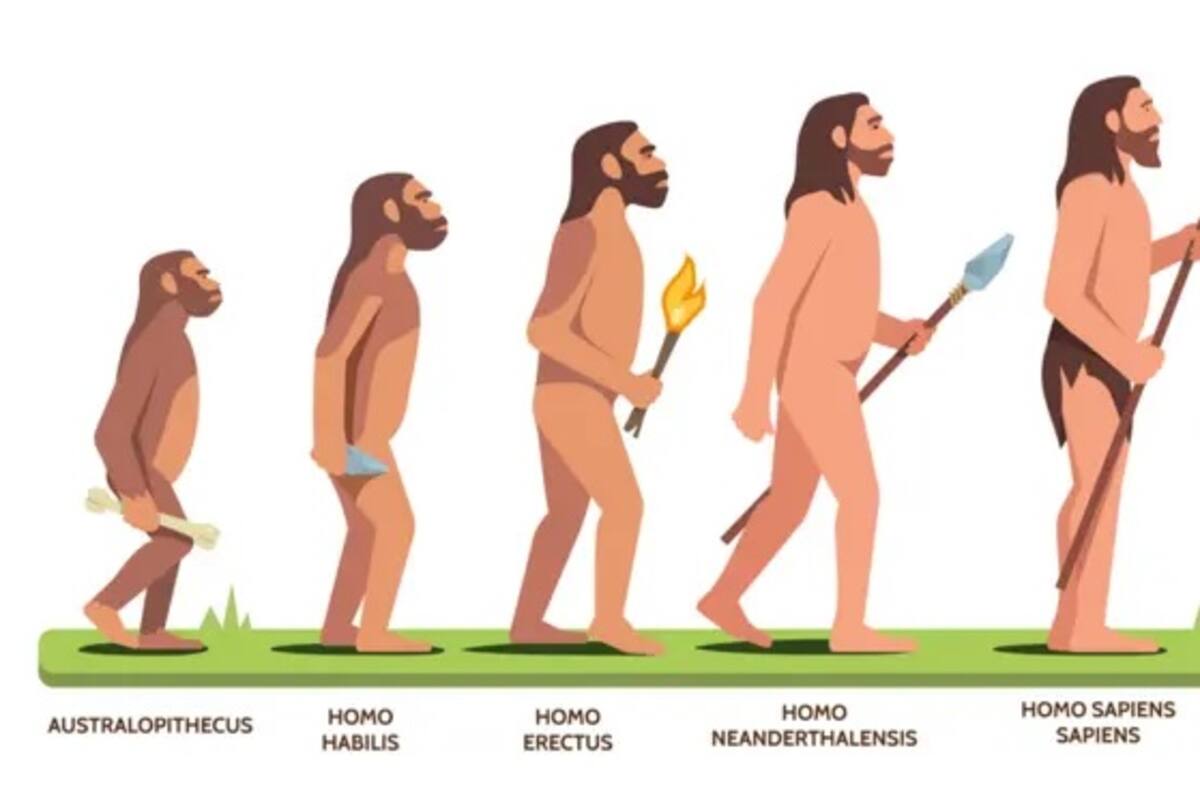 ¿Dónde quedaron? Cómo Homo sapiens se convirtió en la única especie humana