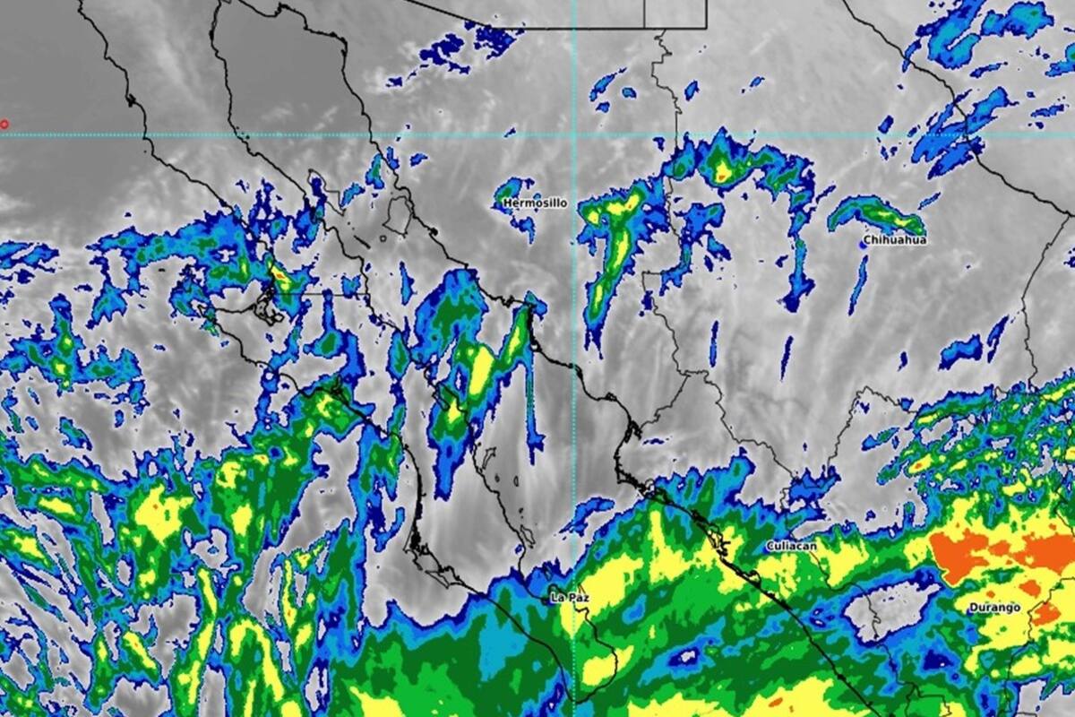 Clima en Sonora: ¡Qué frío! Al menos doce municipios sonorenses se encuentran bajo cero grados