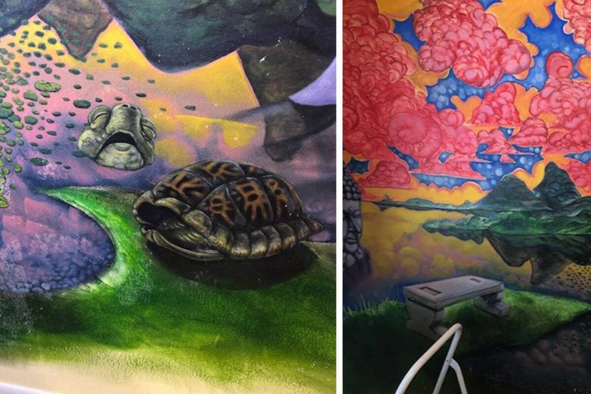 Descubre un mural oculto en su casa luego de que su gato arrancara el empapelado