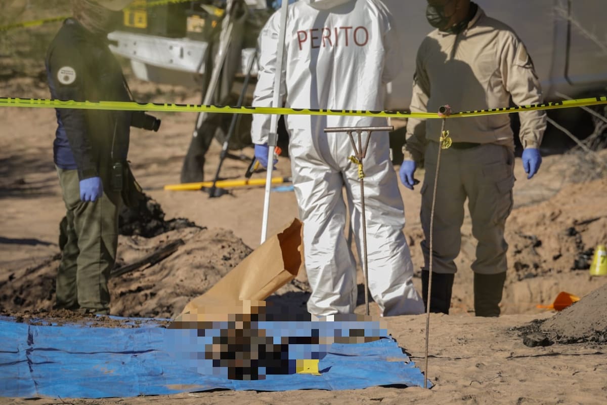 Fosas del Miguel Alemán: Una reserva ambiental que se convirtió en un cementerio clandestino
