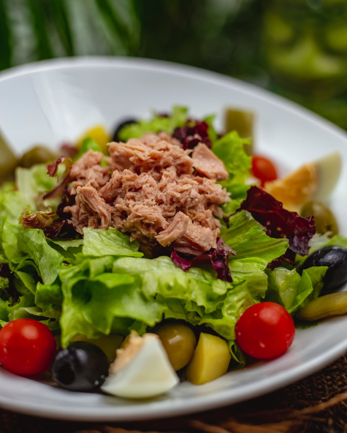Las preparaciones ideales para el atún en aceite incluyen pastas mediterráneas, tostadas, bruschettas y ensaladas frescas sin aderezos pesados. | Magnific