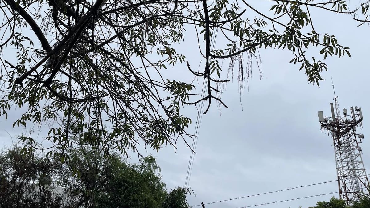 Foto: Michelle Castillo