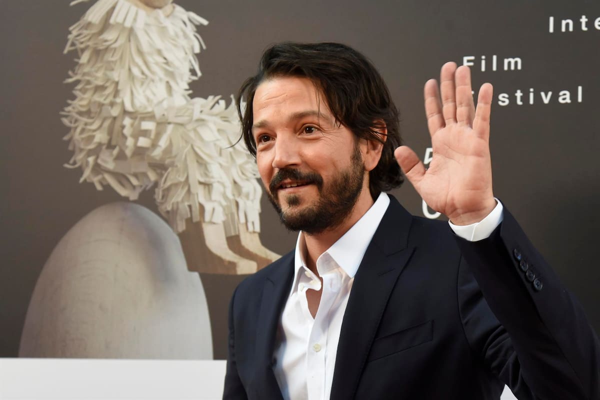 Nuevos detalles sobre el libro: “Diego Luna. La neta es chida pero inalcanzable”