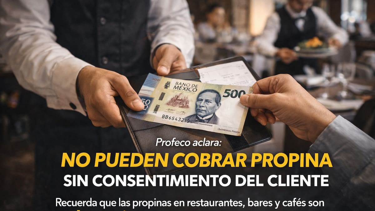 Profeco recuerda que la propina en restaurantes, bares y cafés es voluntaria y no puede cobrarse sin consentimiento del cliente, advierte sobre prácticas abusivas y cómo denunciar