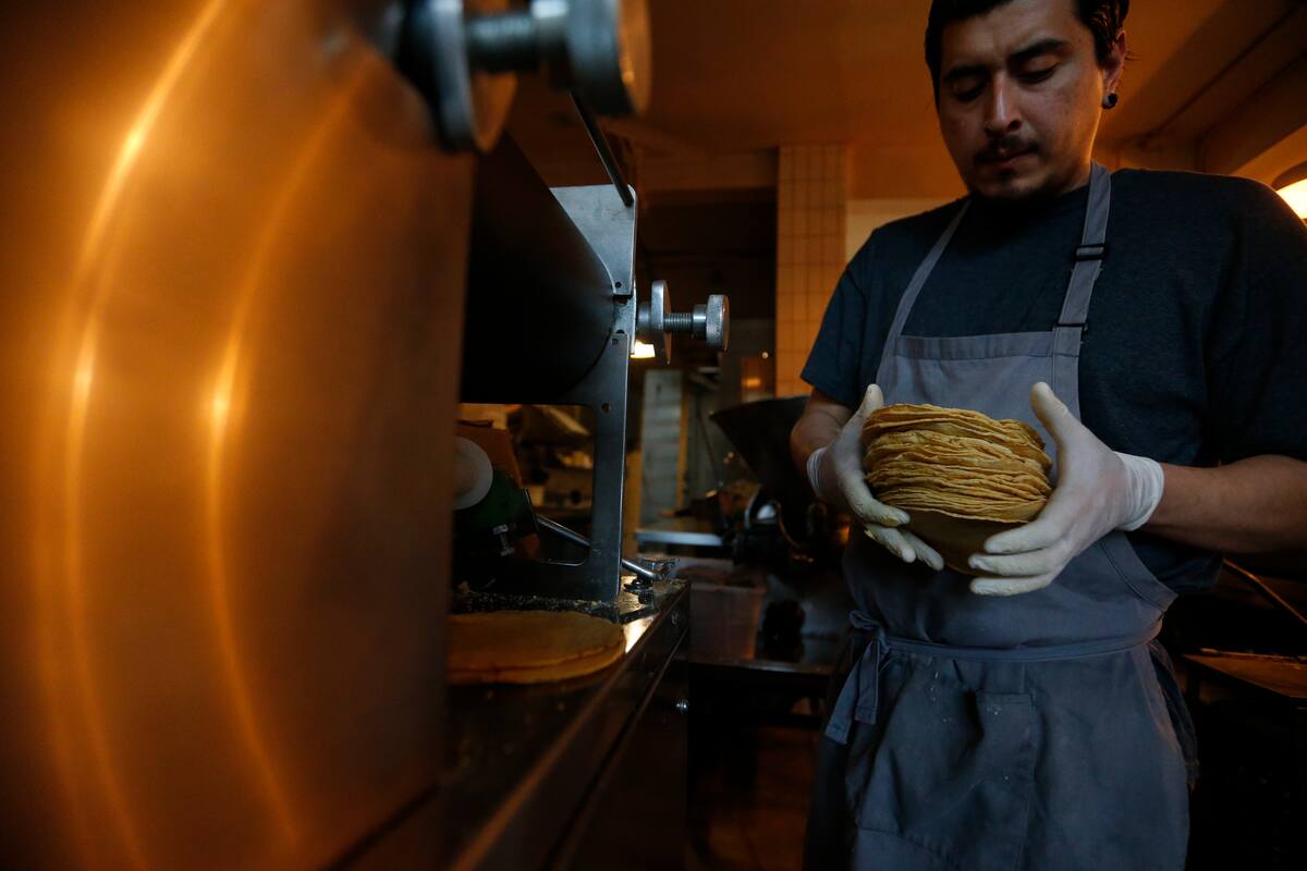Operación tortilla: Un molino que defiende al maíz mexicano