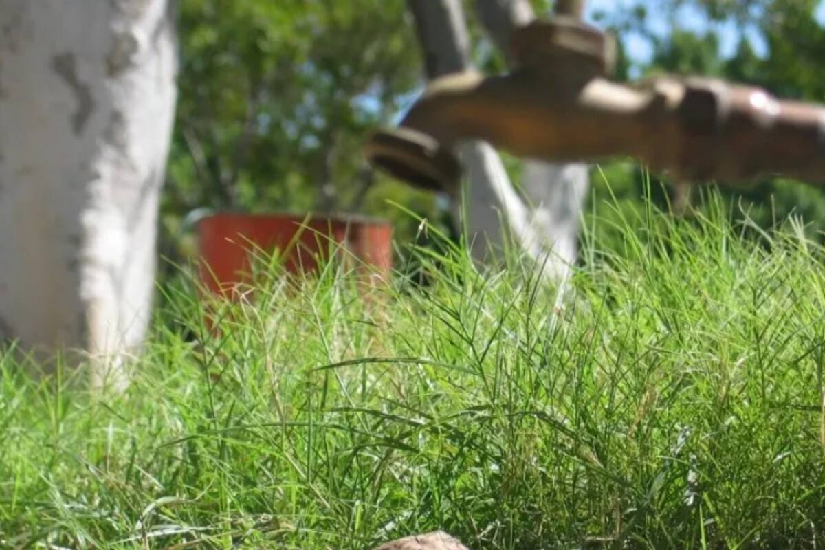 Usuarios de Agua de Hermosillo reportan afectaciones en el servicio tras la lluvia de anoche