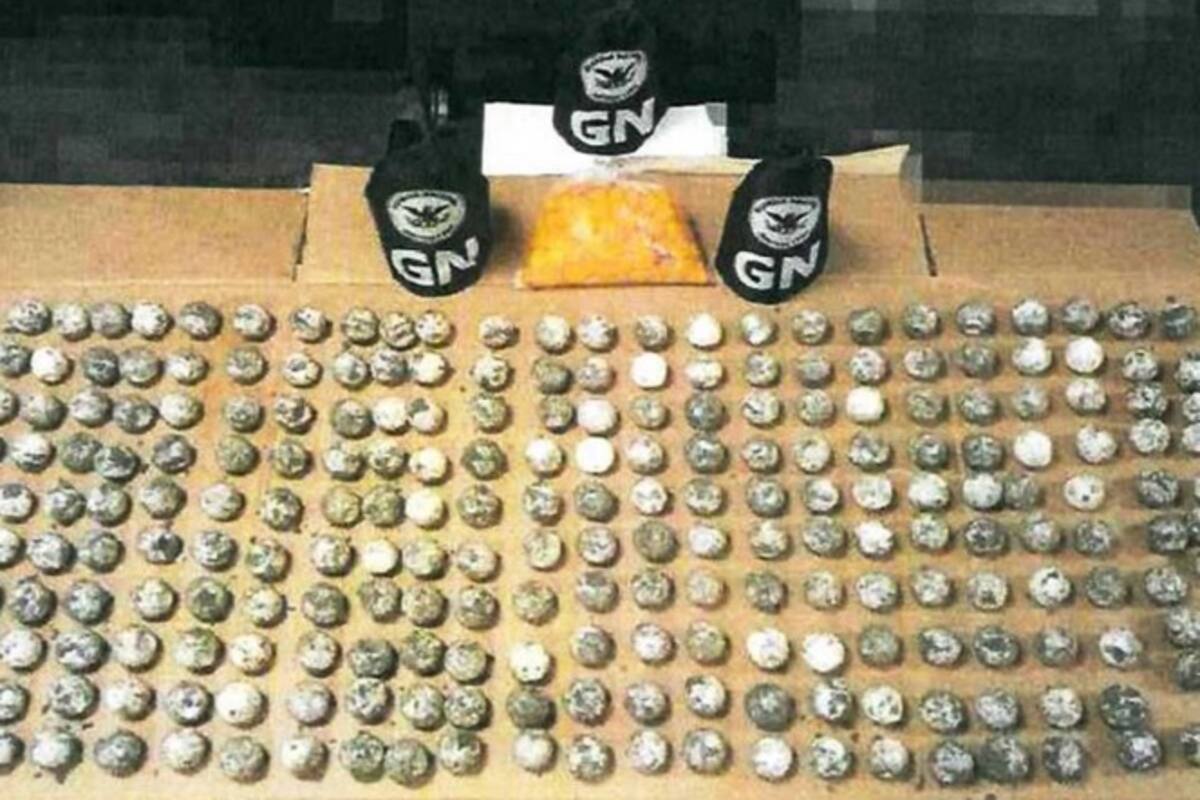 Guardia Nacional asegura 240 huevos de tortuga en Acapulco