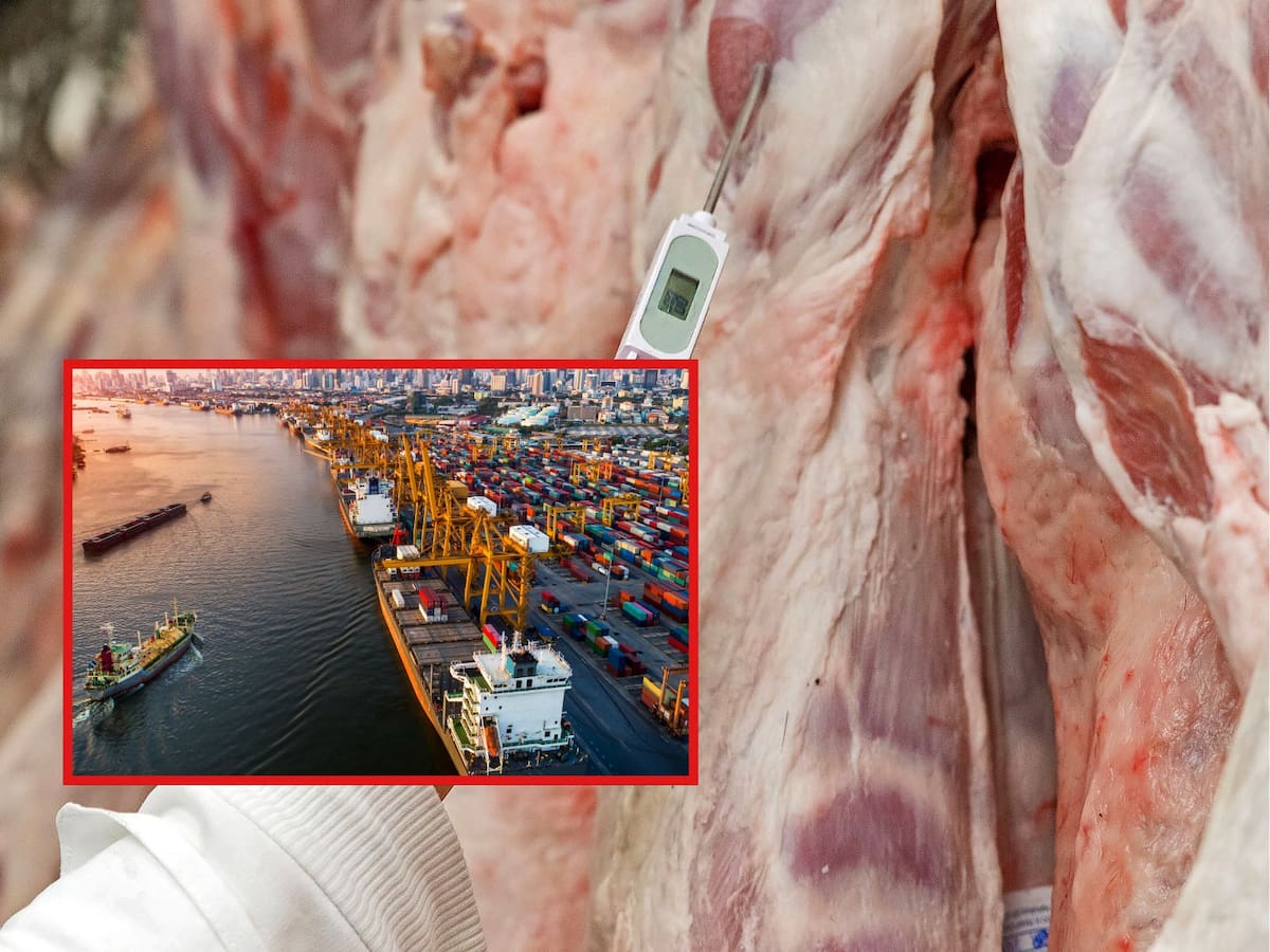 Reino Unido prohíbe el ingreso de carne y queso desde la UE por temor a la fiebre aftosa. | Crédito: Ilustrativa de Canva