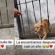 “Por fin volvió con nosotros” Perrita que había sido sustraída de su hogar se reencuentra con sus dueños un año después en otra vivienda
