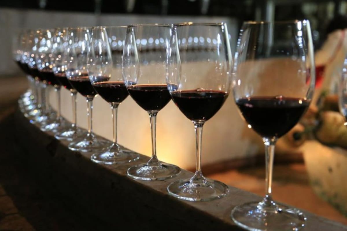 Galardonan a vinos bajacalifornianos en el Concurso Mundial de Bruselas