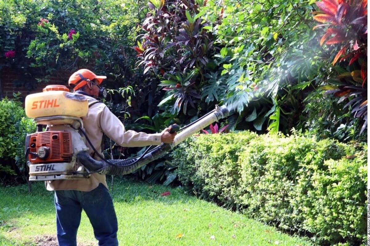Suman 39 casos de dengue tras surgir brote en Álamos