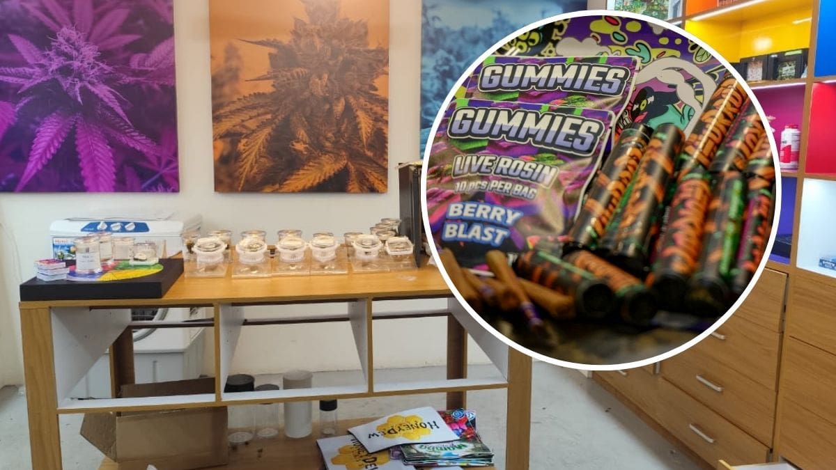 Una tienda de especialidad con productos derivados de la mariguana como gomitas y vapers operaba en el Centro Histórico de Oaxaca hasta que un cateo decomisó más de 30 kilos de drogas