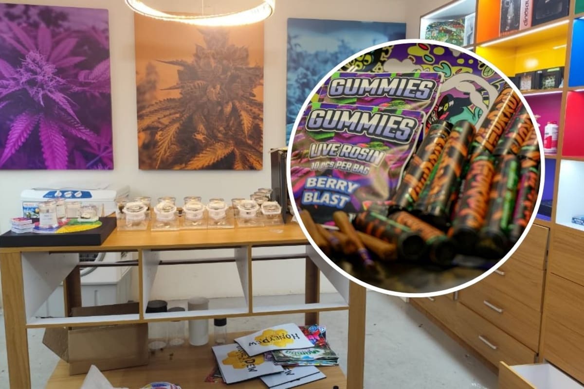 Una tienda de especialidad con productos derivados de la mariguana como gomitas y vapers operaba en el Centro Histórico de Oaxaca hasta que un cateo decomisó más de 30 kilos de drogas