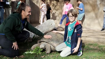Reid Park Zoo en Tucson celebra el Día de la Tierra con actividades para toda la familia
