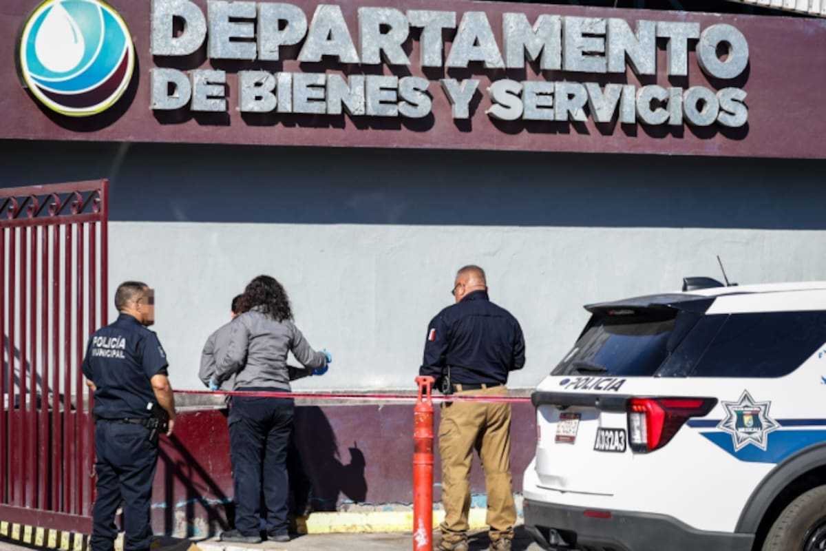 Dejan cabeza de cerdo y “narcomanta” frente a instalaciones de CESPM; Cemca la retira