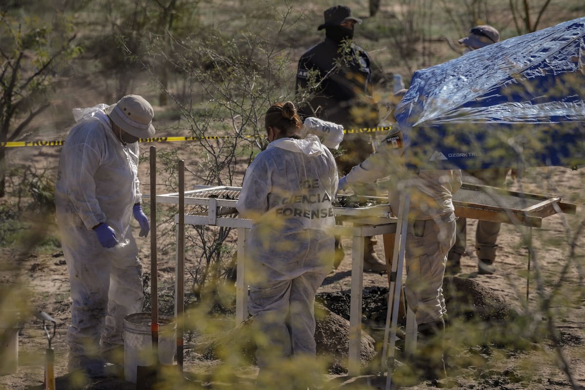 Alcanzan cifra de cuerpos similar a la de 2023 en el Miguel Alemán