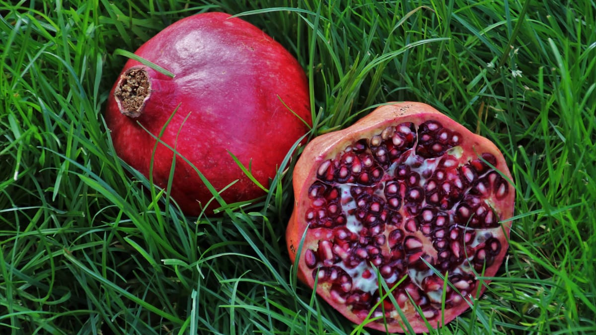 Las granadas son frutas otoñales por excelencia /Foto: Canva