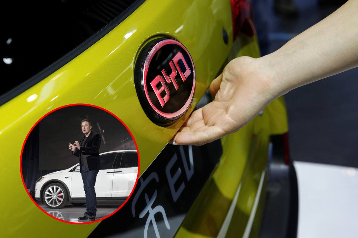 ¿Golpe para Elon Musk? BYD, competencia de Tesla, baja el precio de sus autos eléctricos a esta cantidad