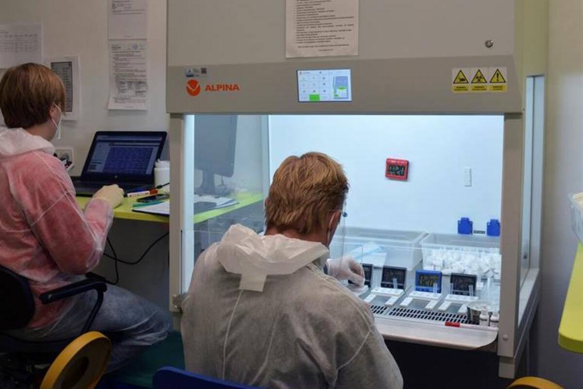 Austria inicia mañana 10 días de test masivos a gran parte de la población