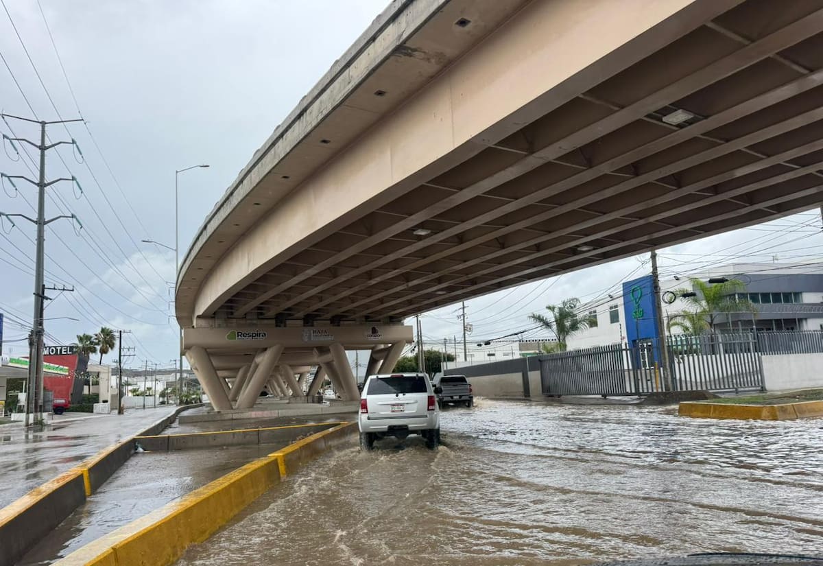 Ilustrativa de archivo/ Foto: Border Zoom