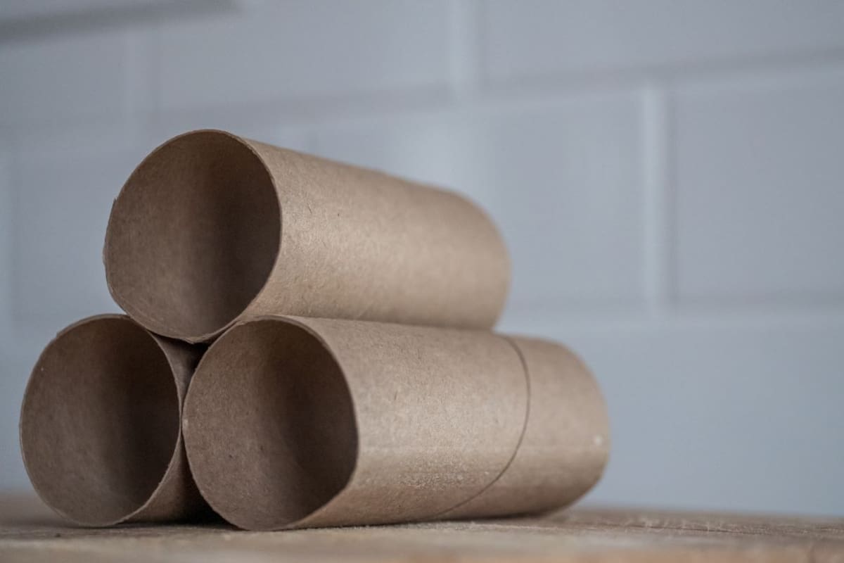 Antes de desechar los tubos de cartón del papel absorbente, conoce 3 formas creativas de reutilizarlos para decorar tu casa sin gastar dinero extra