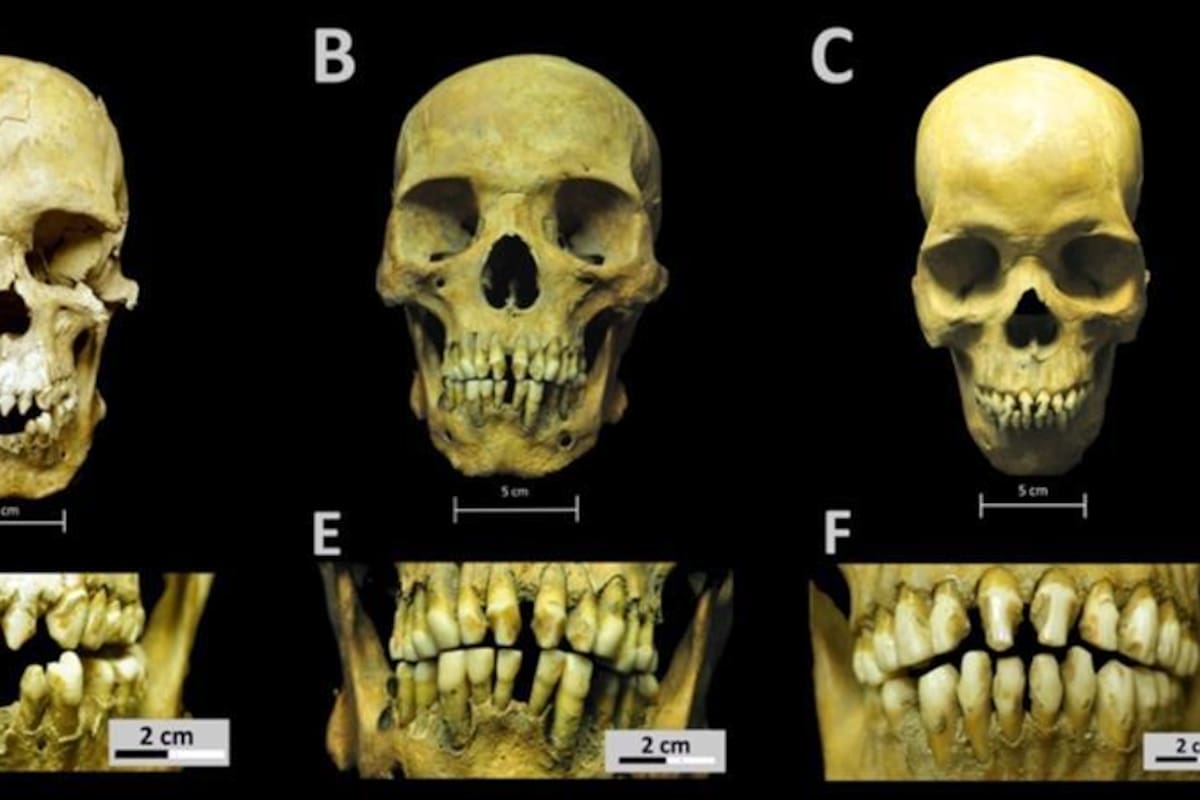 Españoles utilizaron a esclavos africanos para llevar enfermedades a las Américas: Estudio