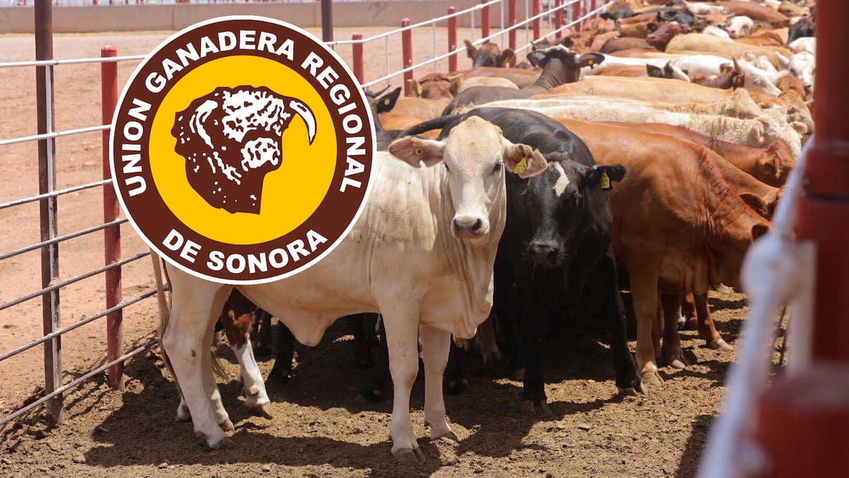 La Unión Ganadera de Sonora se expresa sobre el nuevo cierre hacia la frontera de los Estados Unidos.