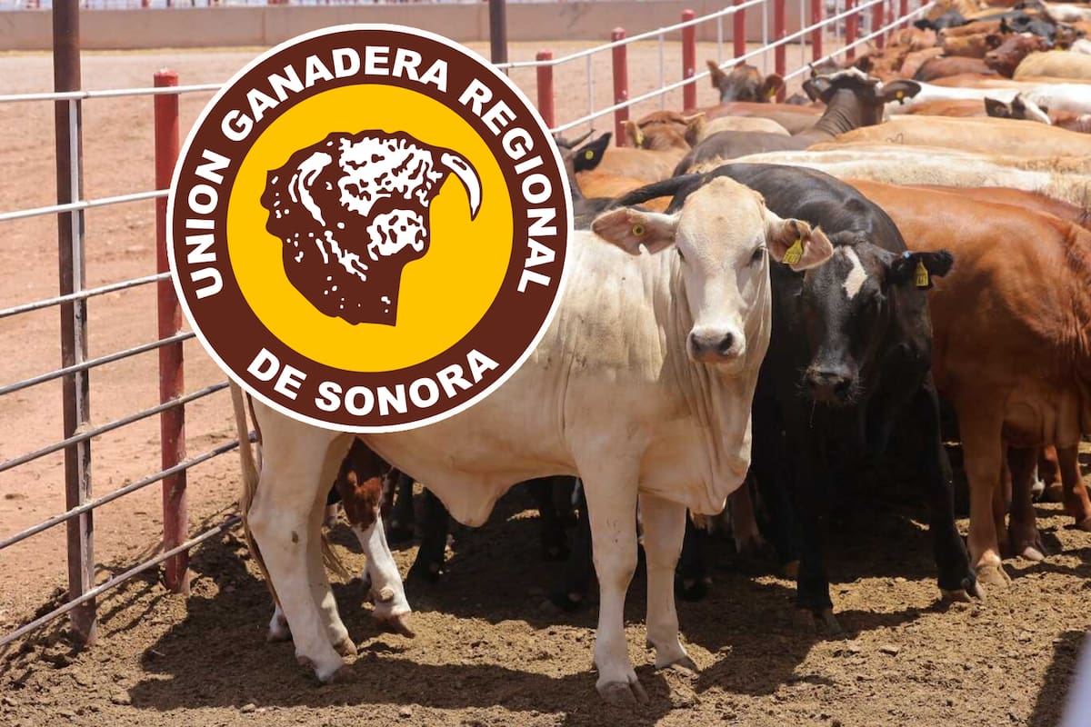 Unión Ganadera de Sonora se expresa sobre nuevo cierre de la frontera de EEUU a pocos días de reapertura