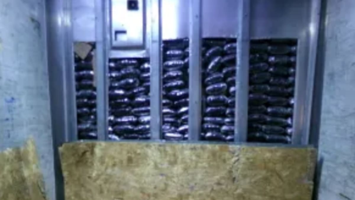 Decomisan 16.5 toneladas de drogas valoradas en más de 111 millones de dólares en garitas de San Diego